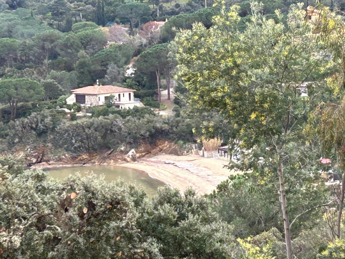 Suosogno Sul Mare 200Metri Dalla Spiaggia Capoliveri  Exterior foto