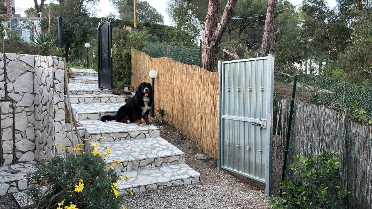 Suosogno Sul Mare 200Metri Dalla Spiaggia Capoliveri  Exterior foto